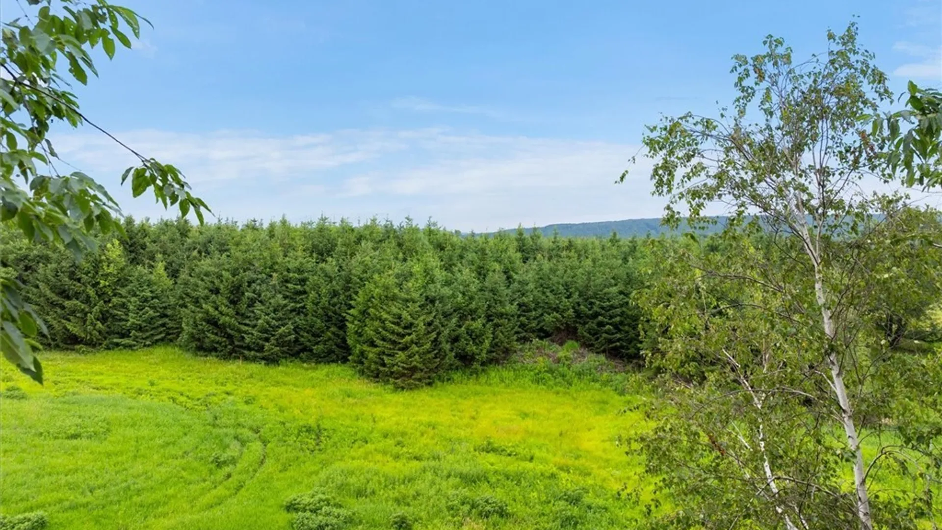 Property at 9201 Fraser Road, Steuben, NY 13354 4