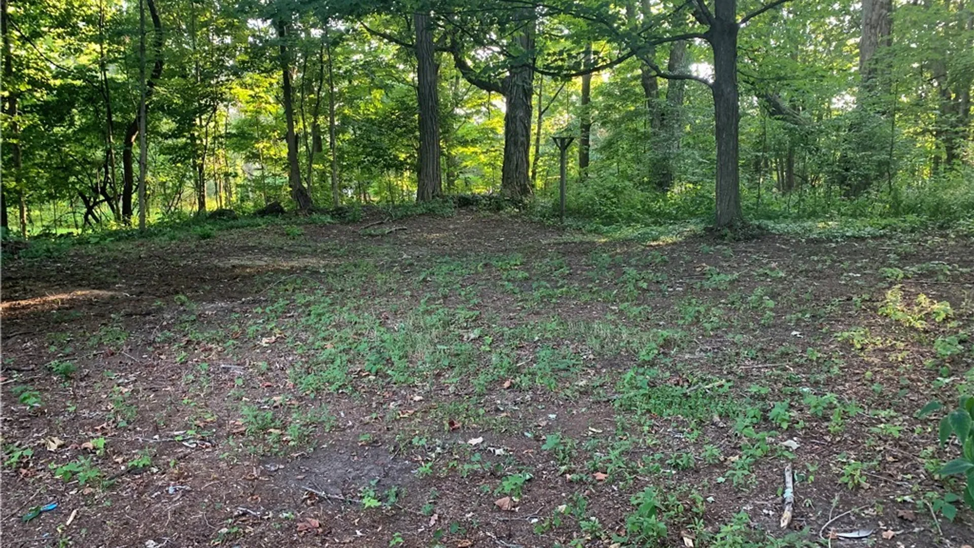 Property at 33 Clay Street, Constantia, NY 13042 23