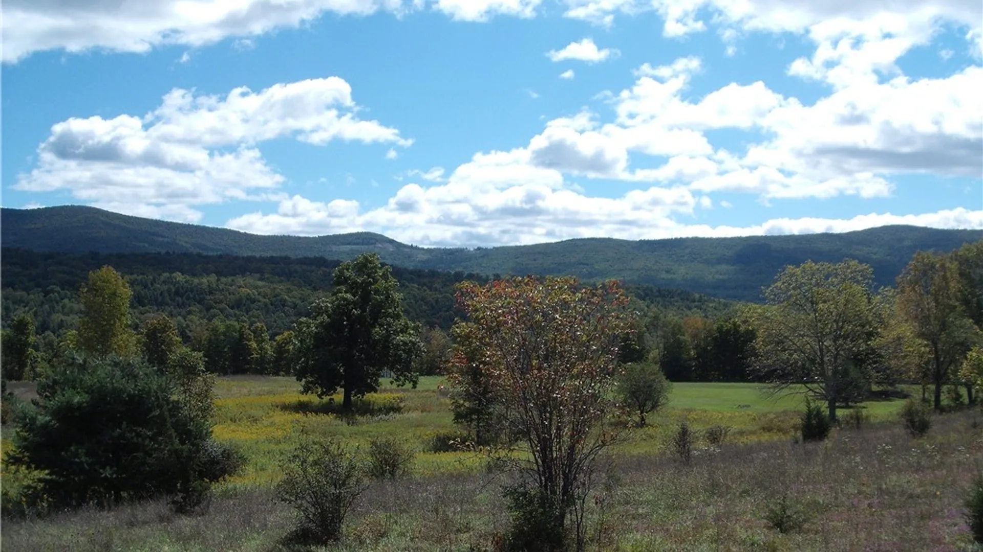Property at 169 Hughes Road, Conesville, NY 12076 10