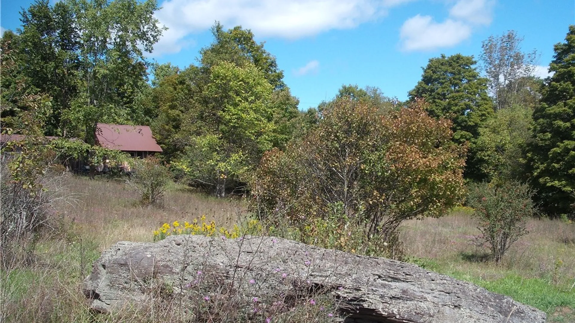 Property at 169 Hughes Road, Conesville, NY 12076 12