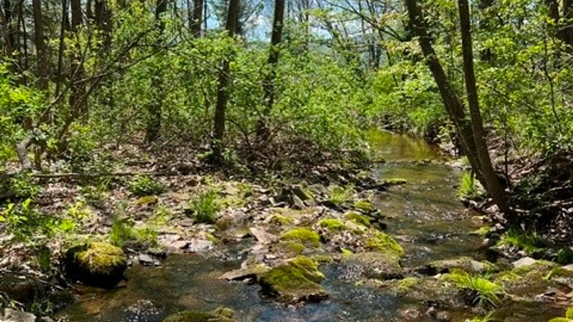 Property at 169 Hughes Road, Conesville, NY 12076 30