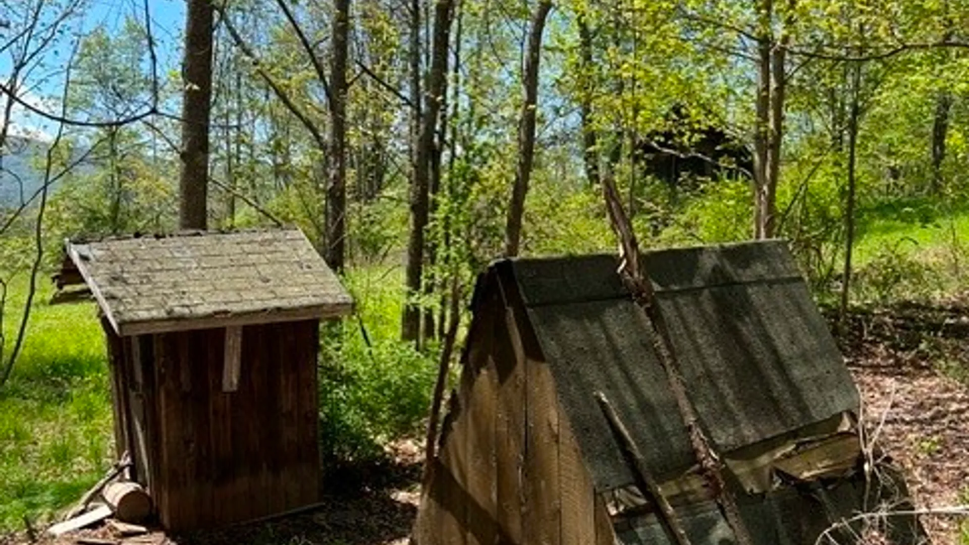 Property at 169 Hughes Road, Conesville, NY 12076 32