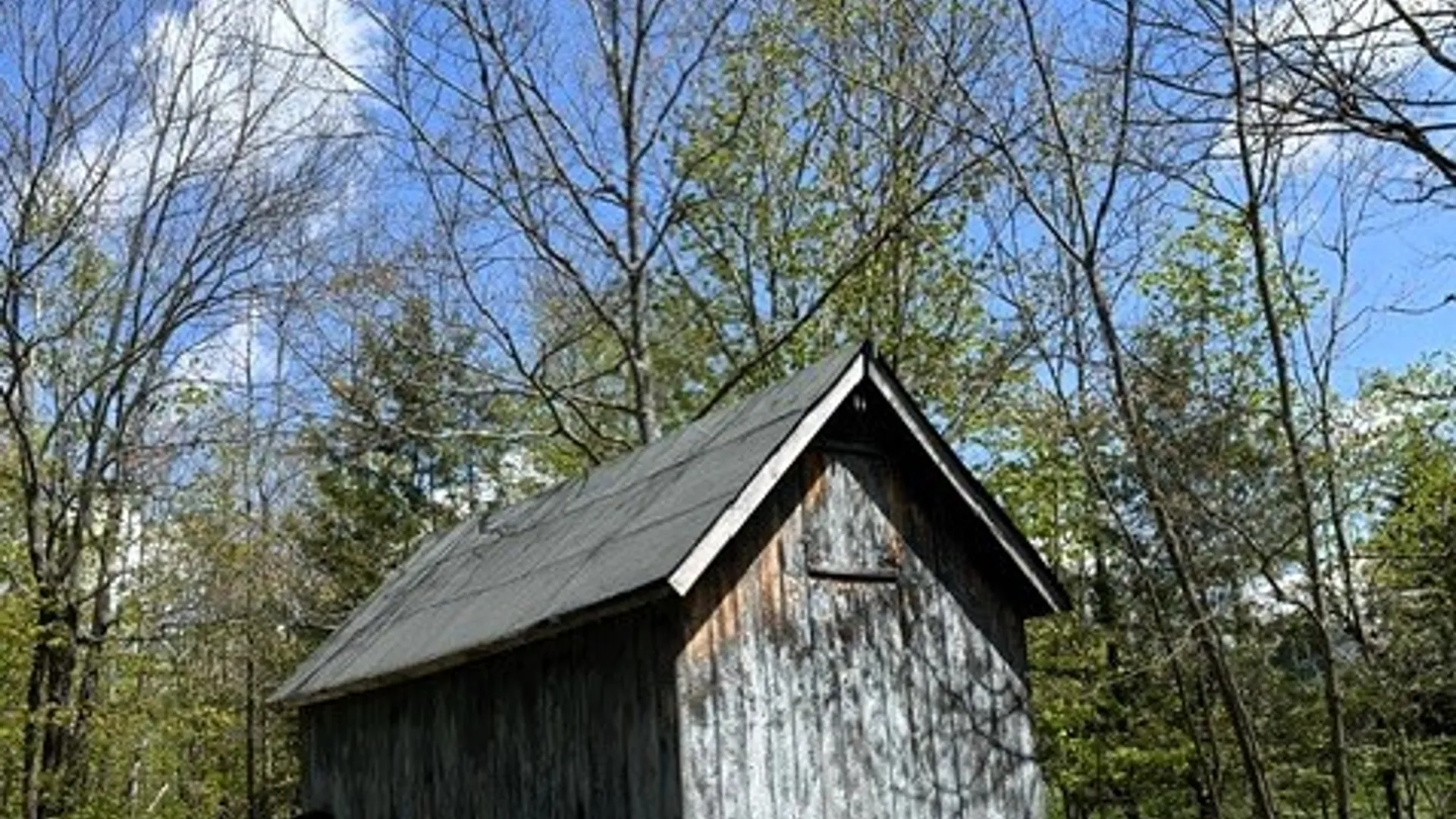 Property at 169 Hughes Road, Conesville, NY 12076 42