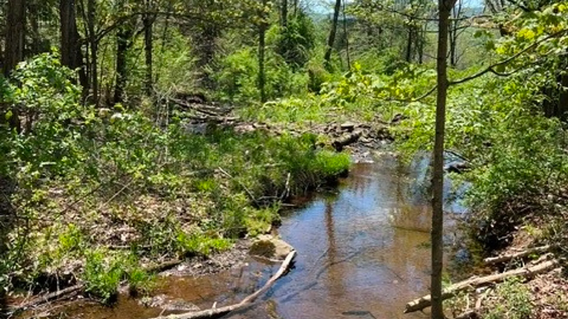 Property at 169 Hughes Road, Conesville, NY 12076 5
