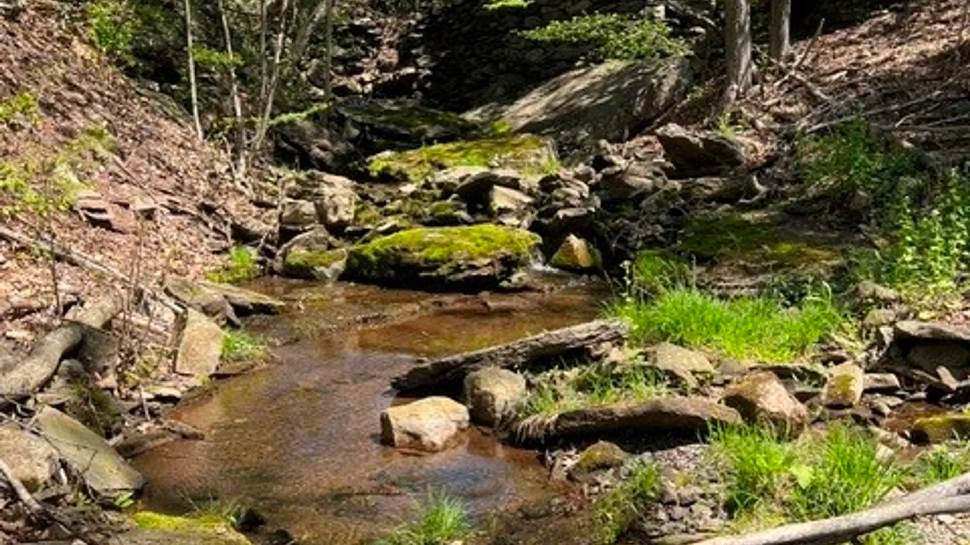 Property at 169 Hughes Road, Conesville, NY 12076 8