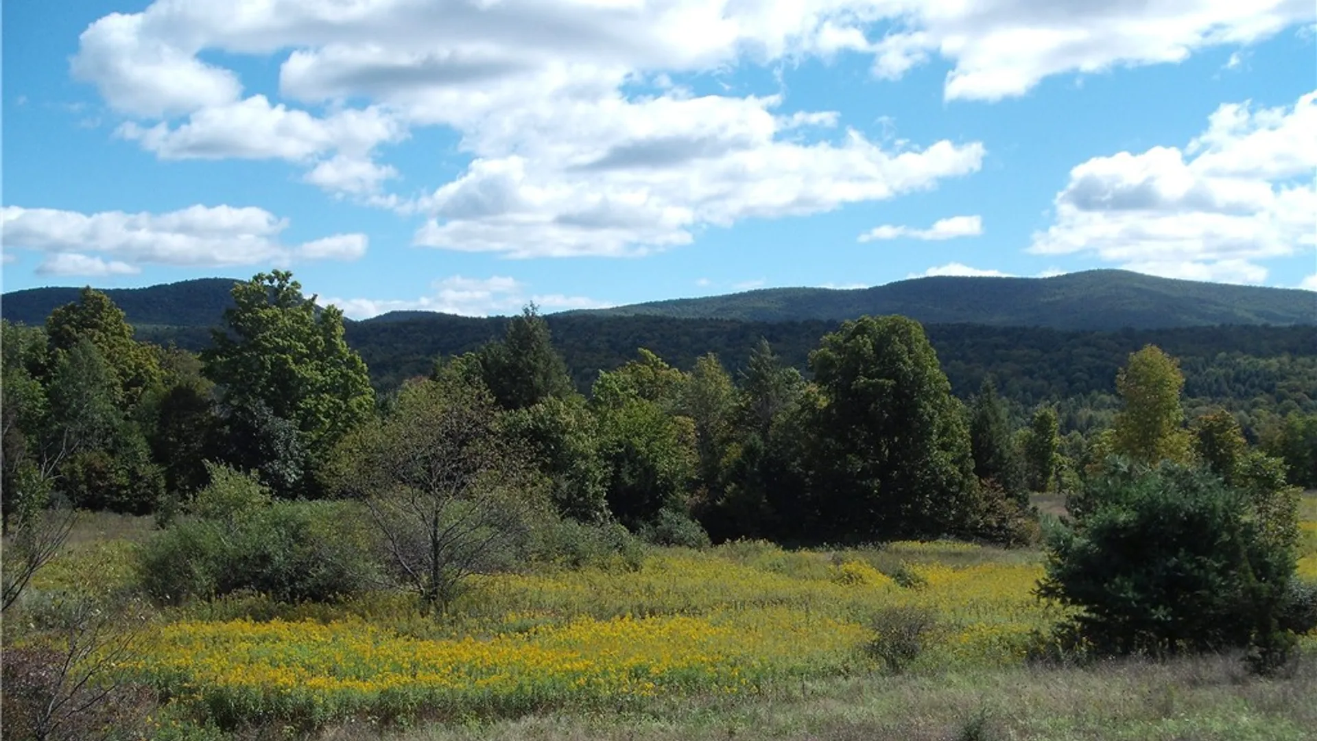 Property at 169 Hughes Road, Conesville, NY 12076 9