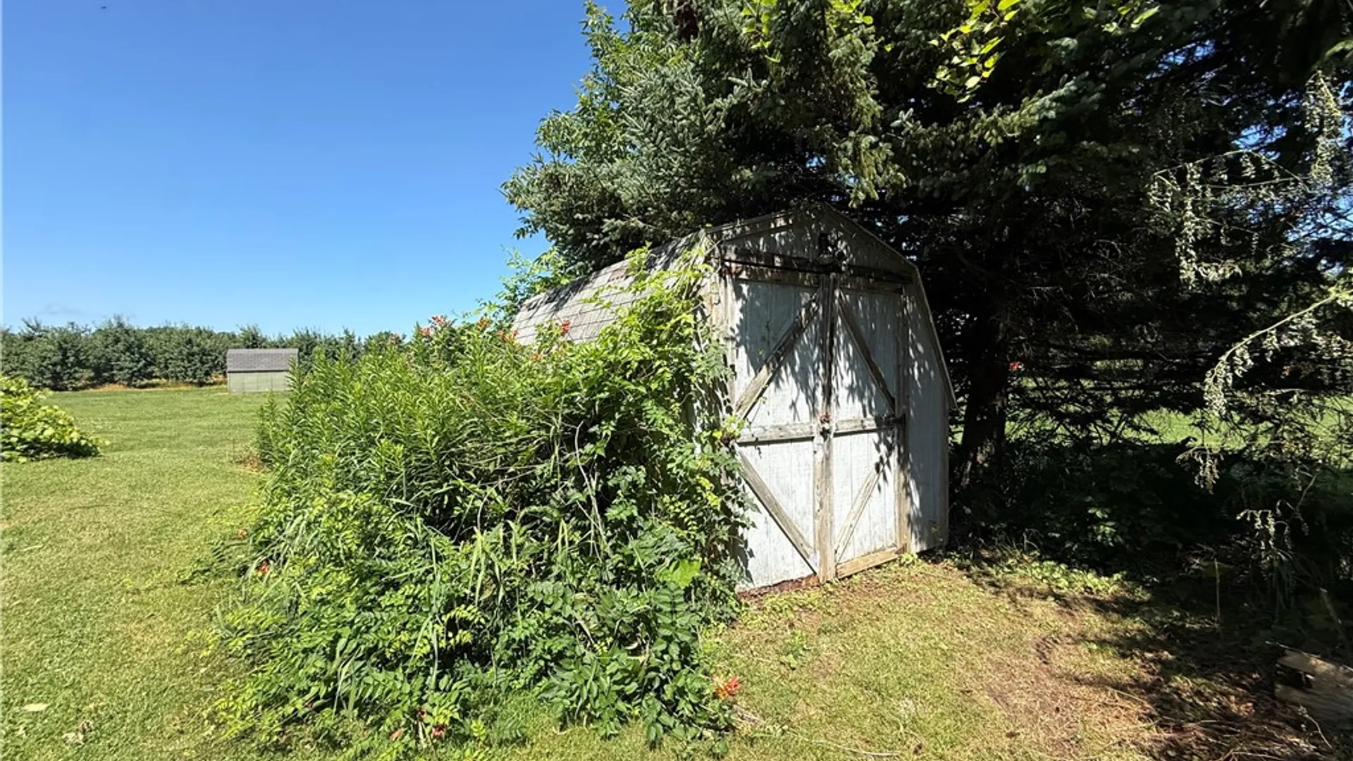 Property at 7685 Salmon Creek Road, Williamson, NY 14589 9