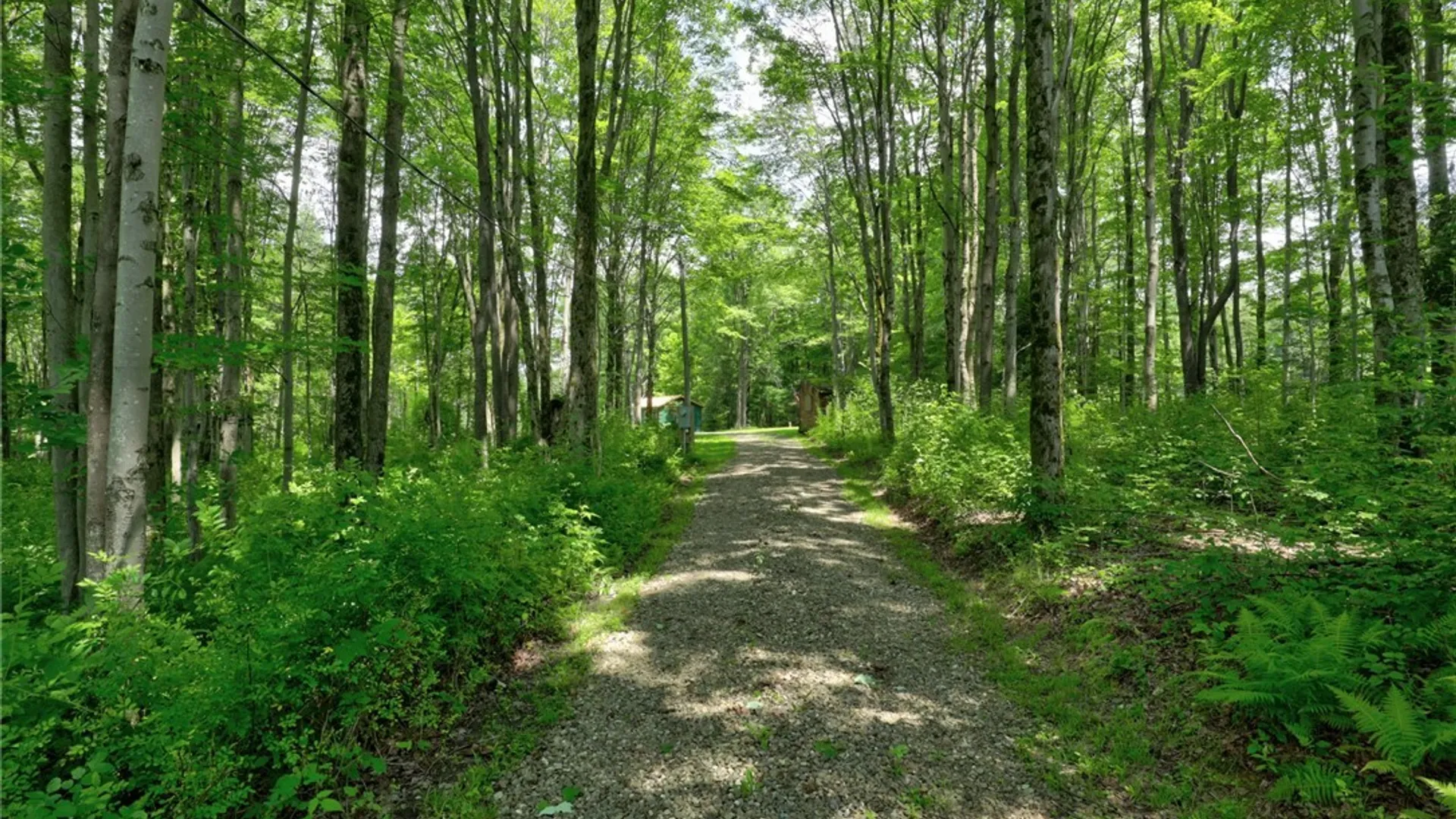 Property at 7034 Phelps Road, Harmony, NY 14767 3