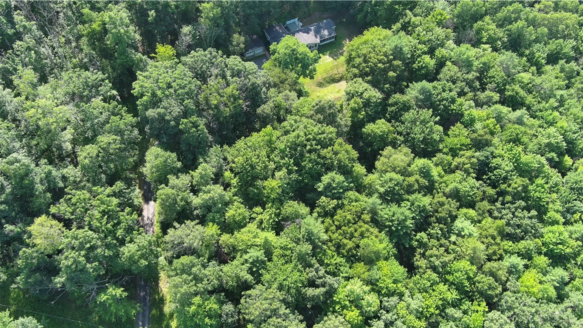 Property at 33 Barr Lane, Erwin, NY 14870 29