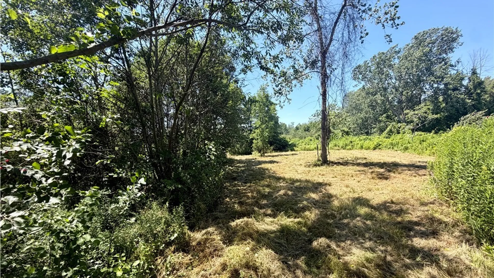 Property at 2026 Harris Road, Carlton, NY 14571 12