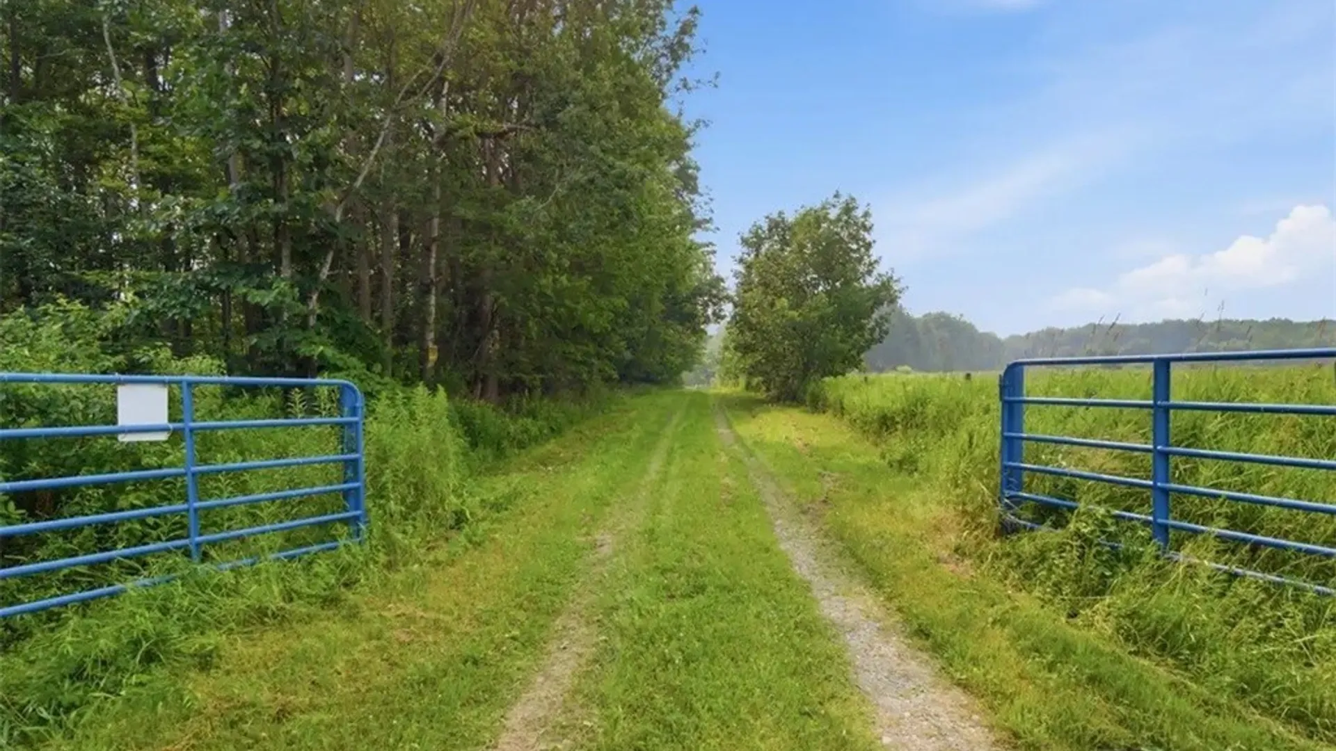 Property at 0 Leach Hill Road, Ellington, NY 14747 3
