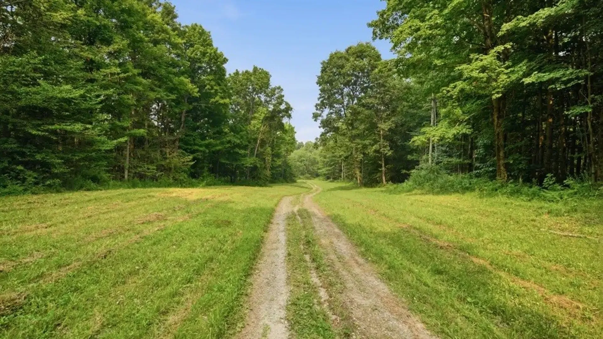 Property at 0 Leach Hill Road, Ellington, NY 14747 4