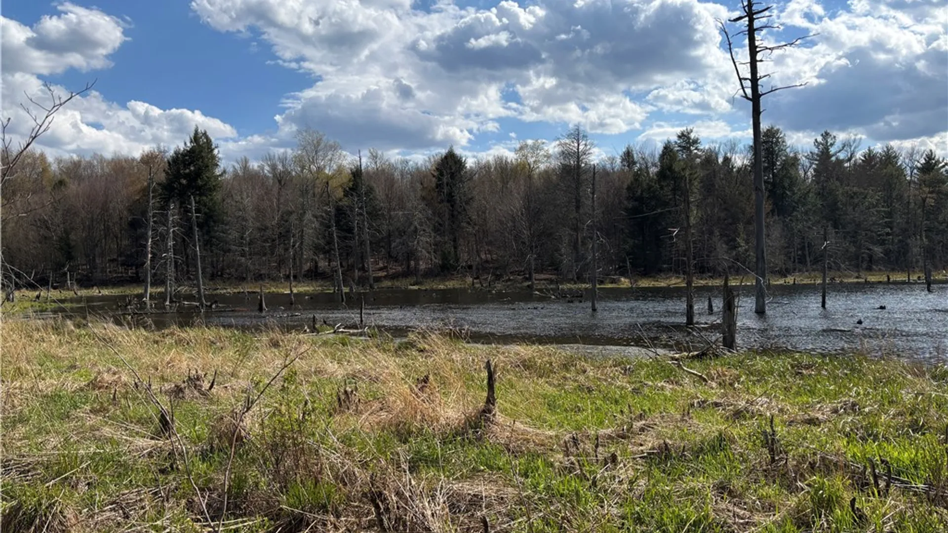 Property at Hollenbeck Road, Worcester, NY 12197 4