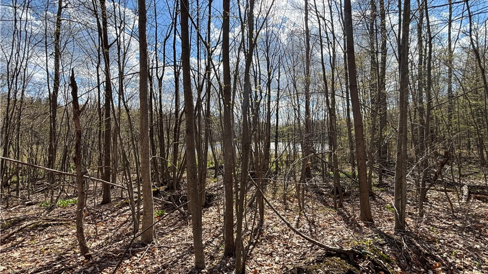 Property at Hollenbeck Road, Worcester, NY 12197 6