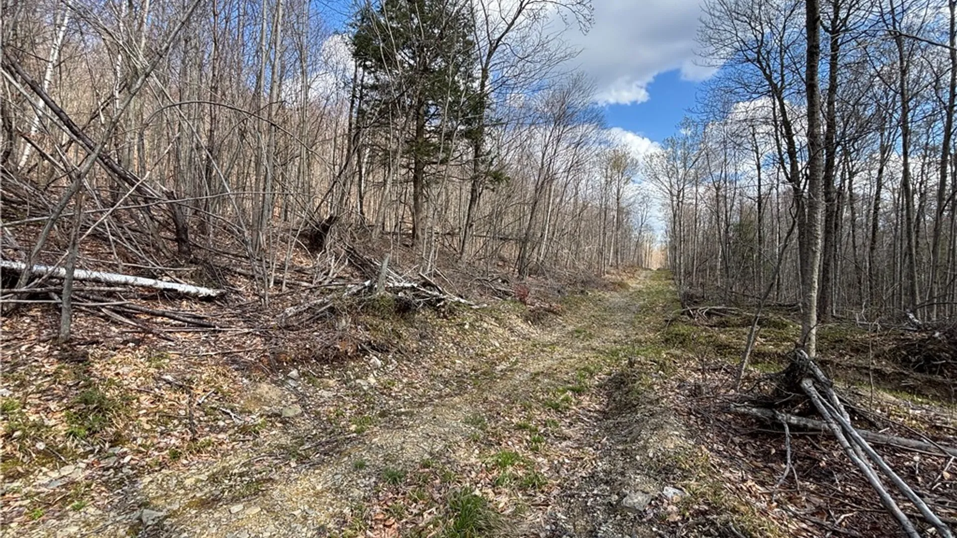 Property at Hollenbeck Road, Worcester, NY 12197 8