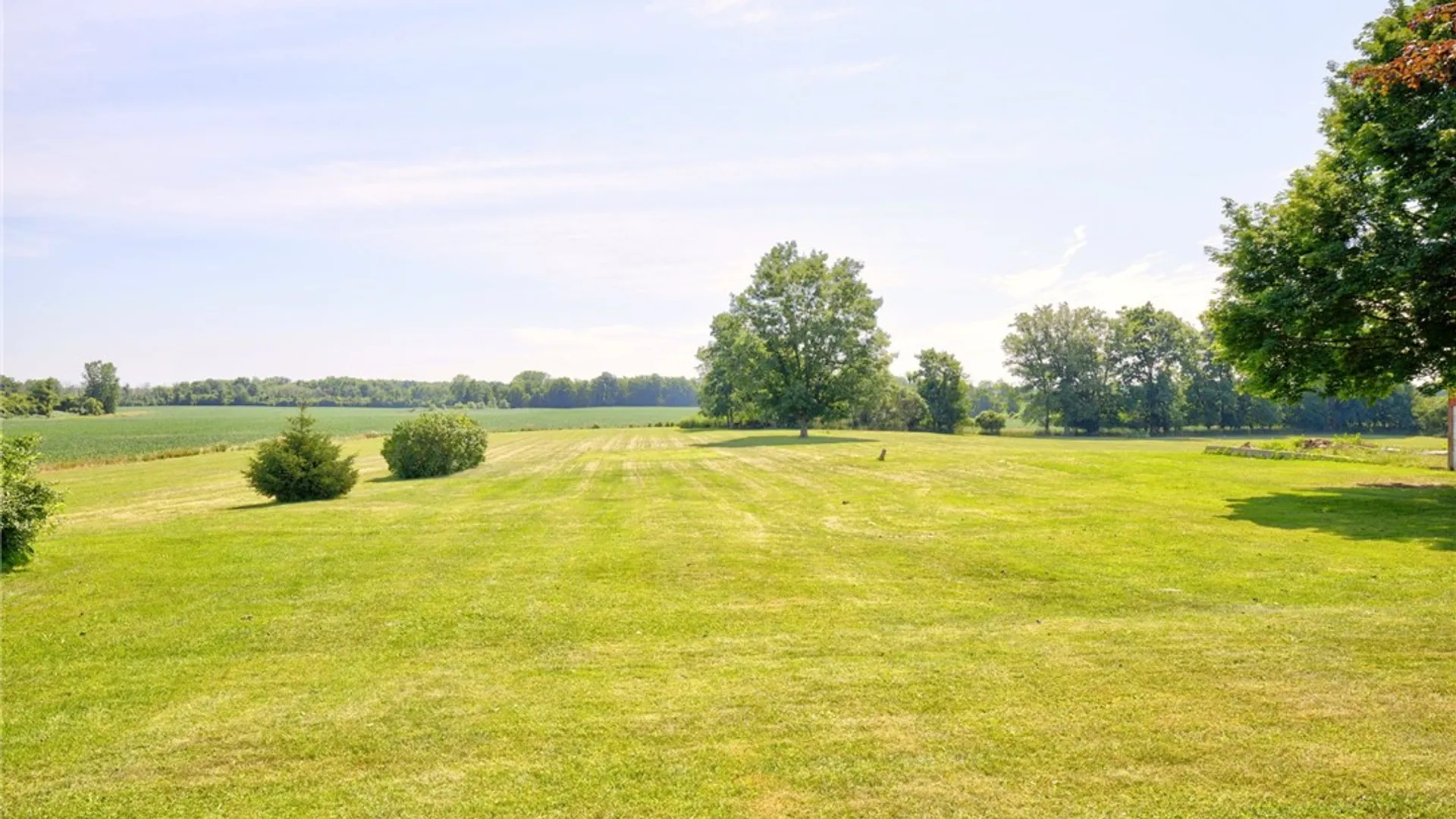 Property at 428 Johnson Road, Riga, NY 14416 46