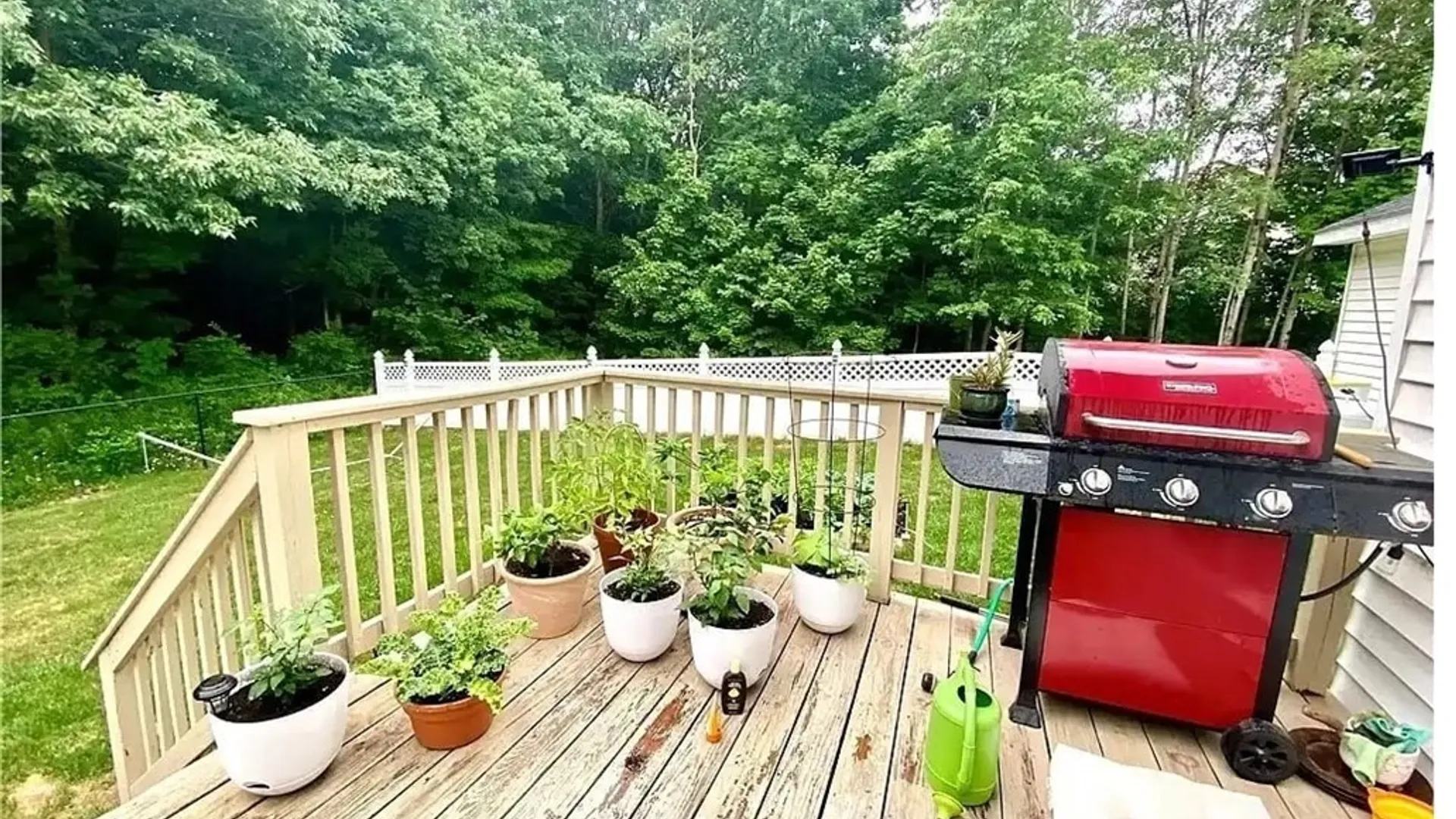 Property at 35296 Lewis, Champion, NY 13619 44
