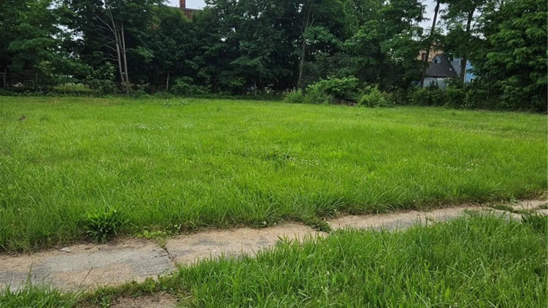 Property at 422 Hickory Street, Buffalo, NY 14204 3