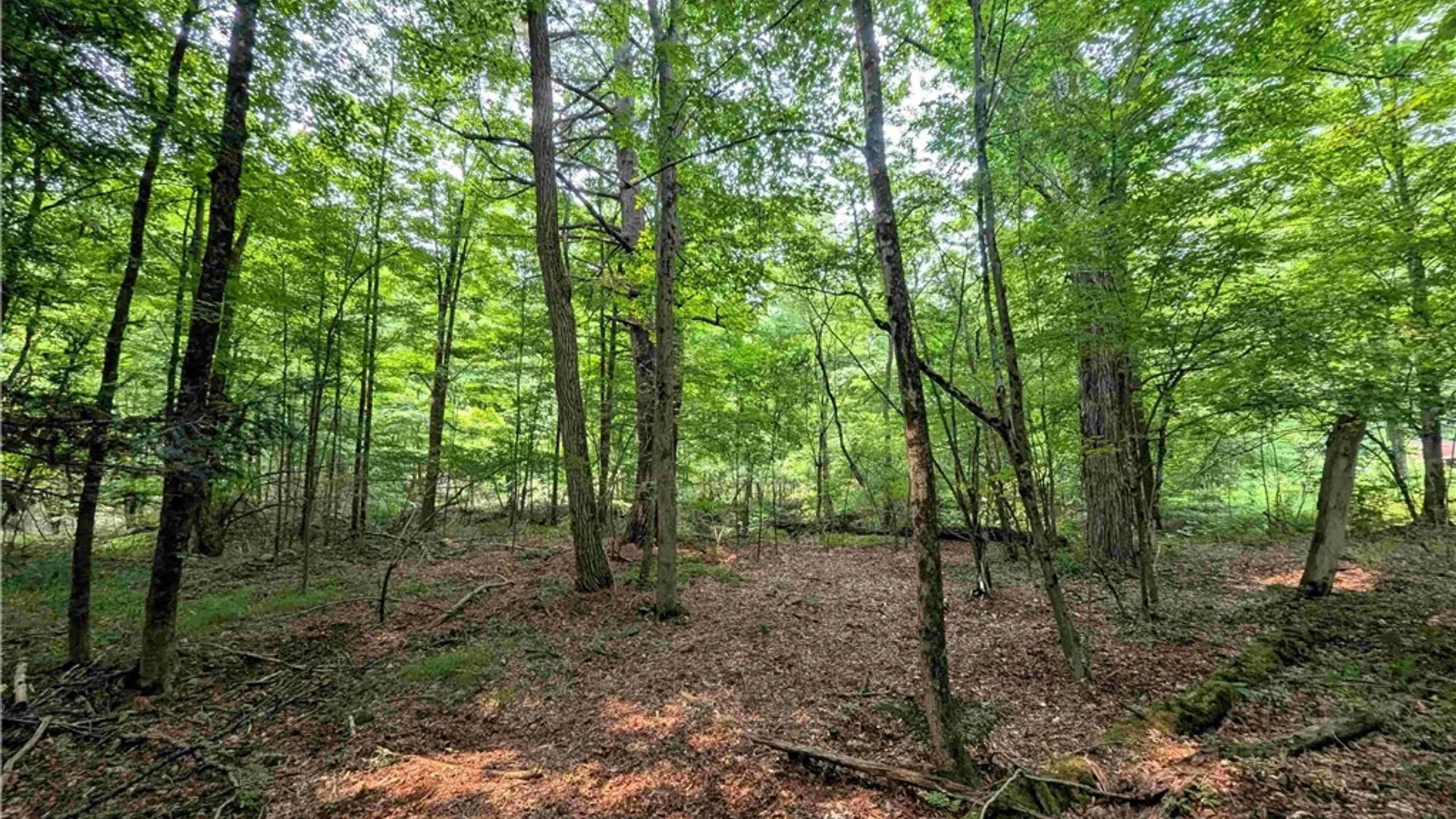 Property at 7581 Bully Hill Road, Almond, NY 14804 36