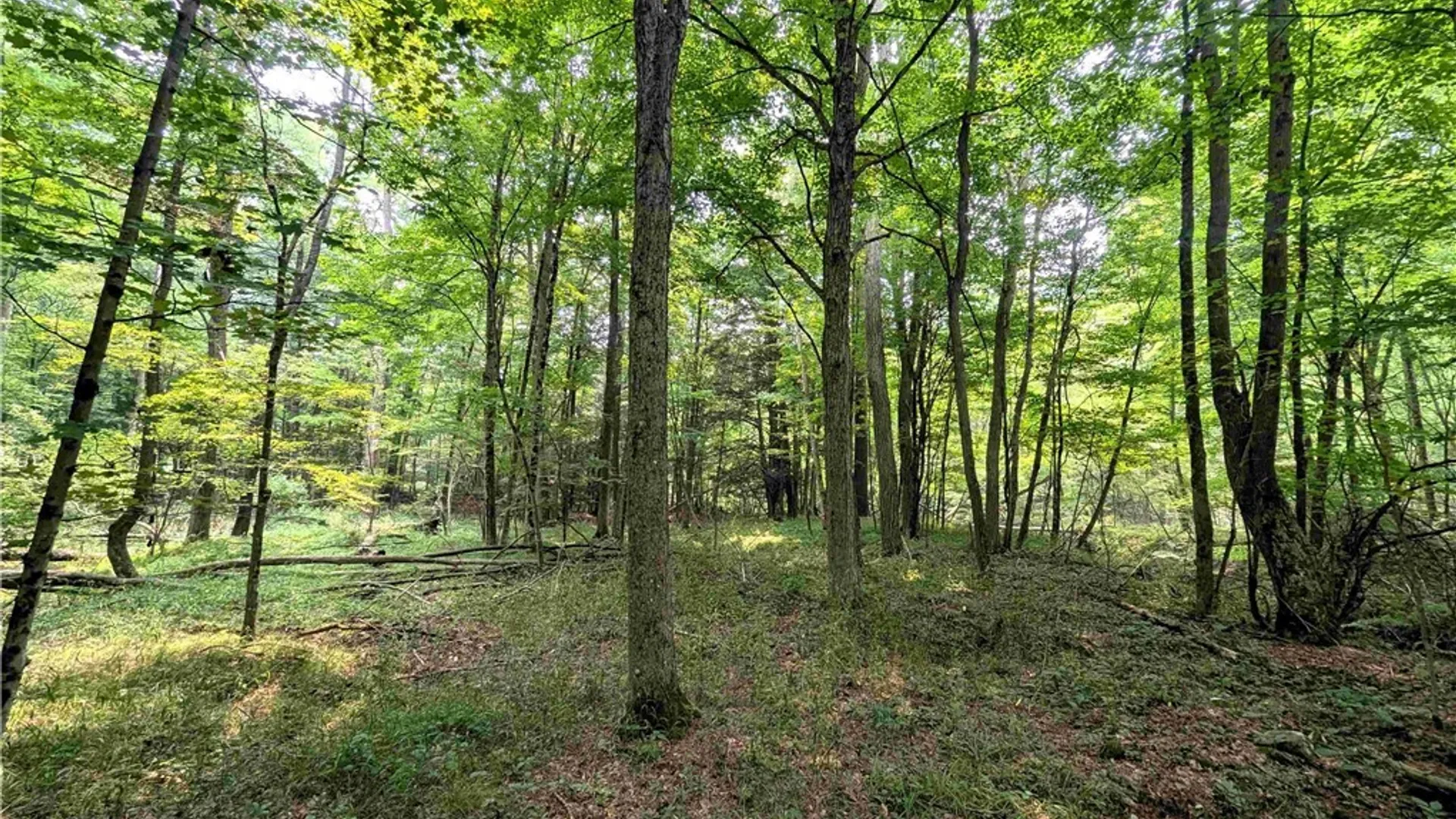 Property at 7581 Bully Hill Road, Almond, NY 14804 37