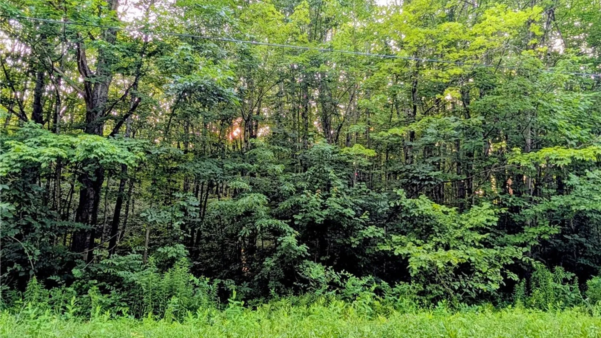 Property at 0 Co Rt 28, Albion, NY 13142 3