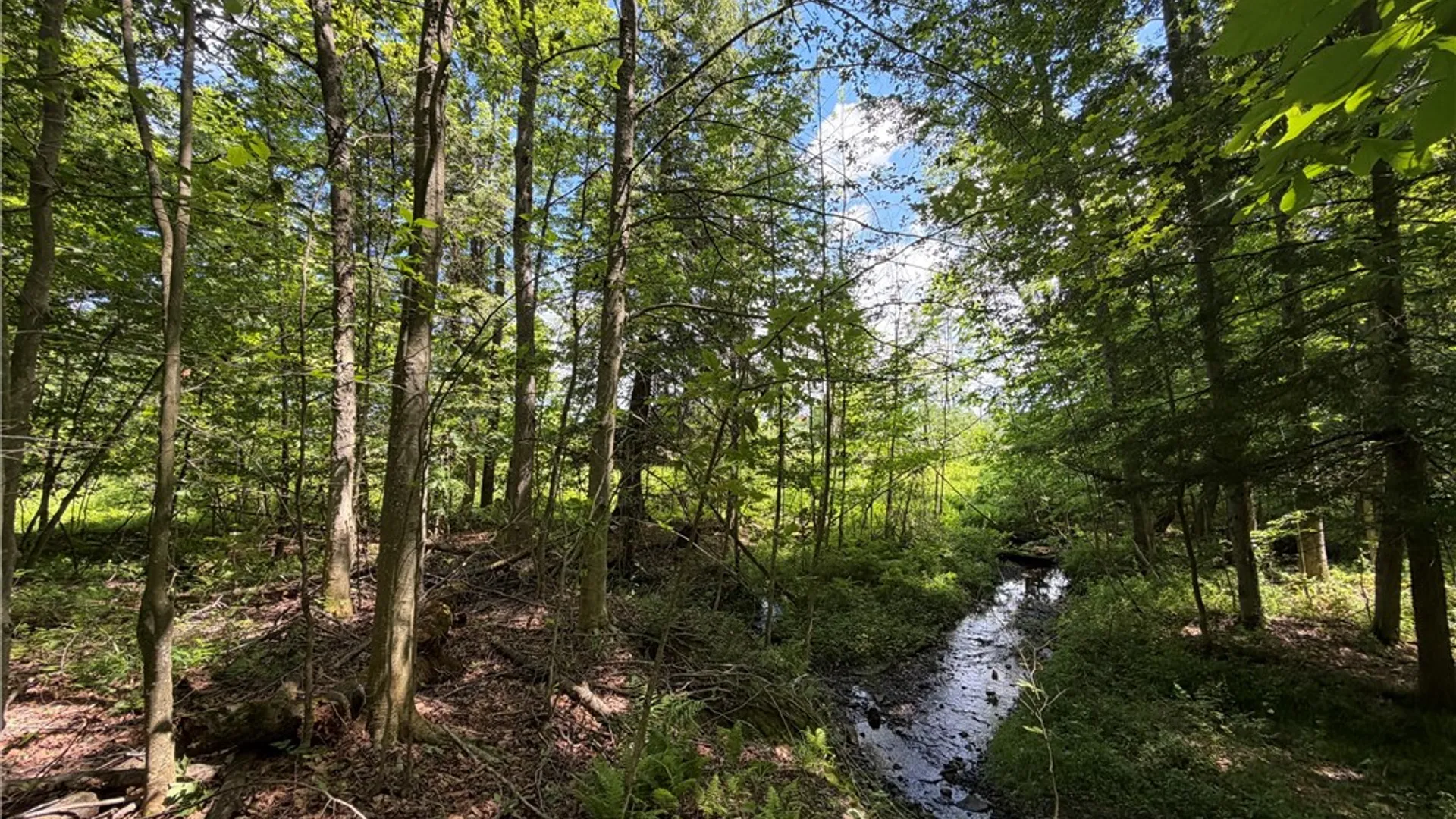 Property at 0 Stockton Road, Stockton, NY 14784 13