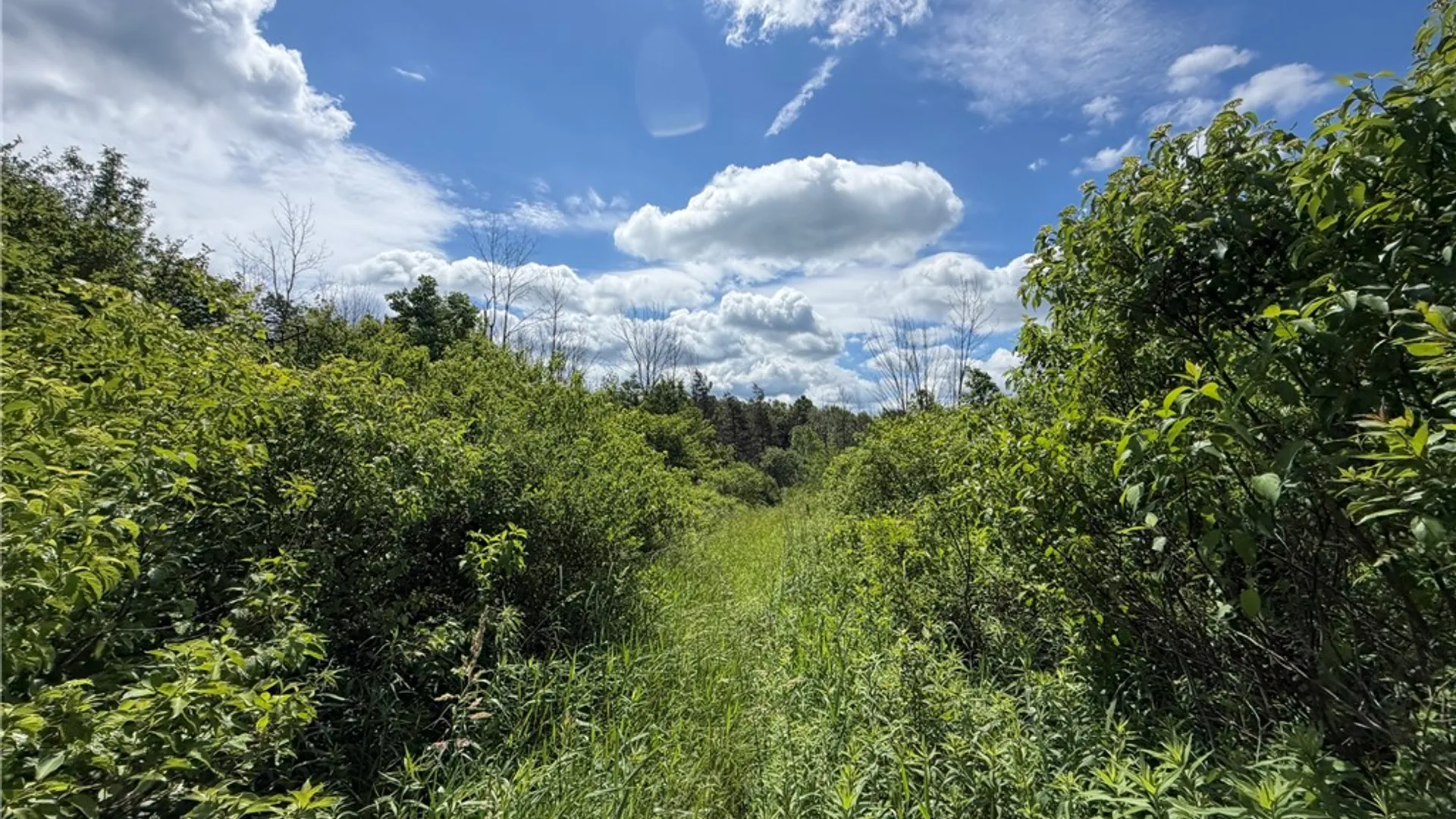 Property at 0 Stockton Road, Stockton, NY 14784 16