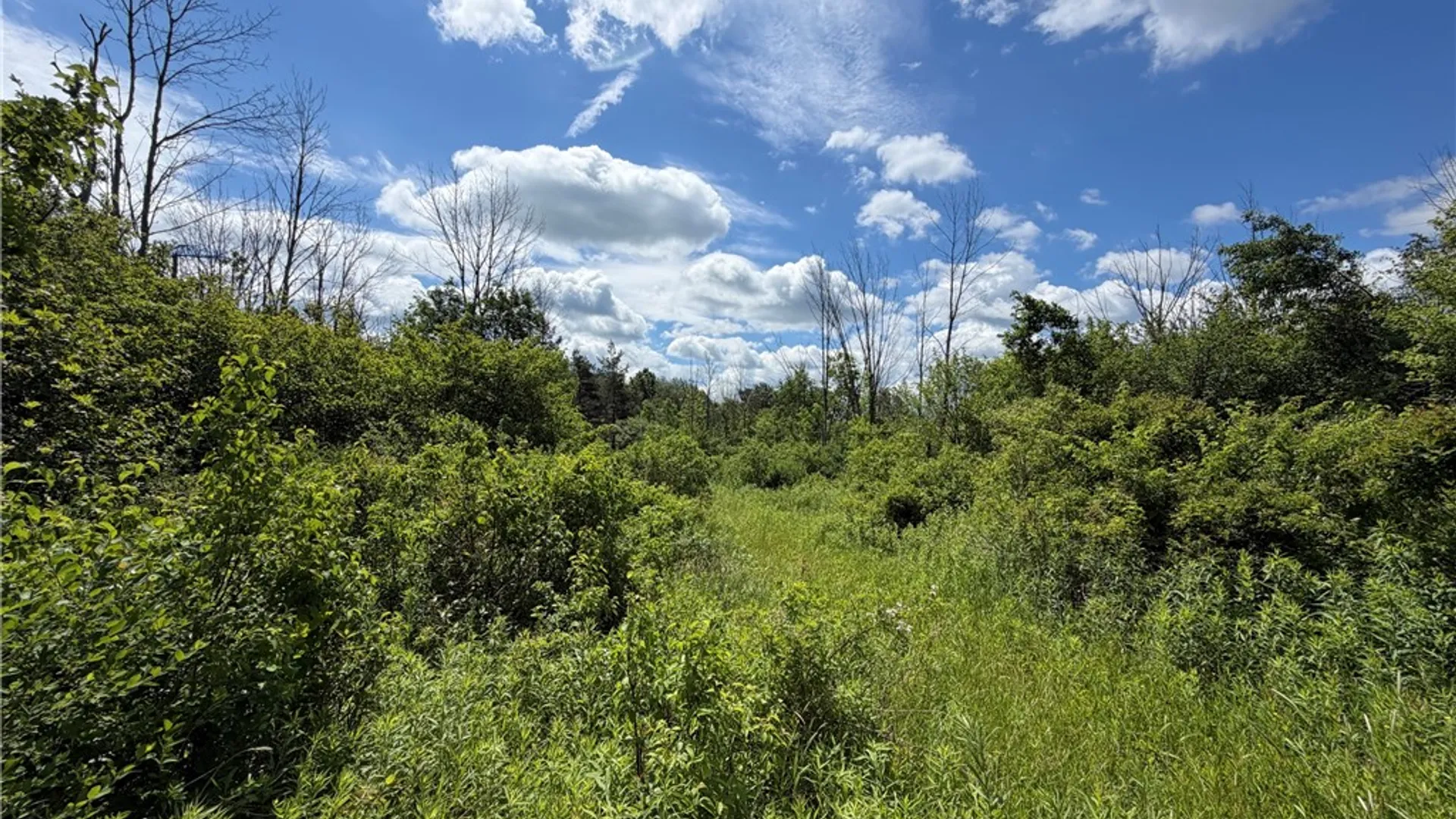 Property at 0 Stockton Road, Stockton, NY 14784 3