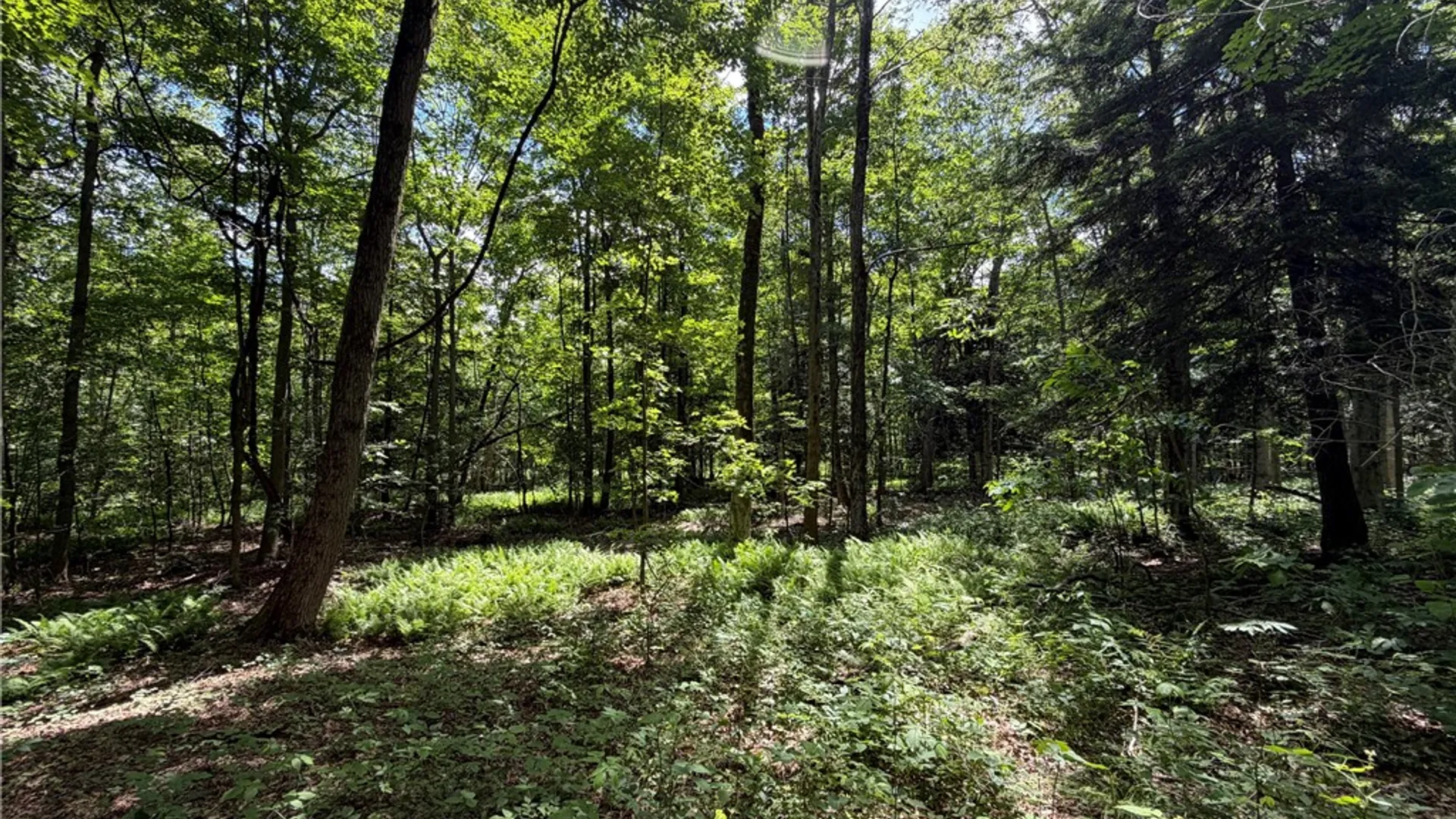 Property at 0 Stockton Road, Stockton, NY 14784 9
