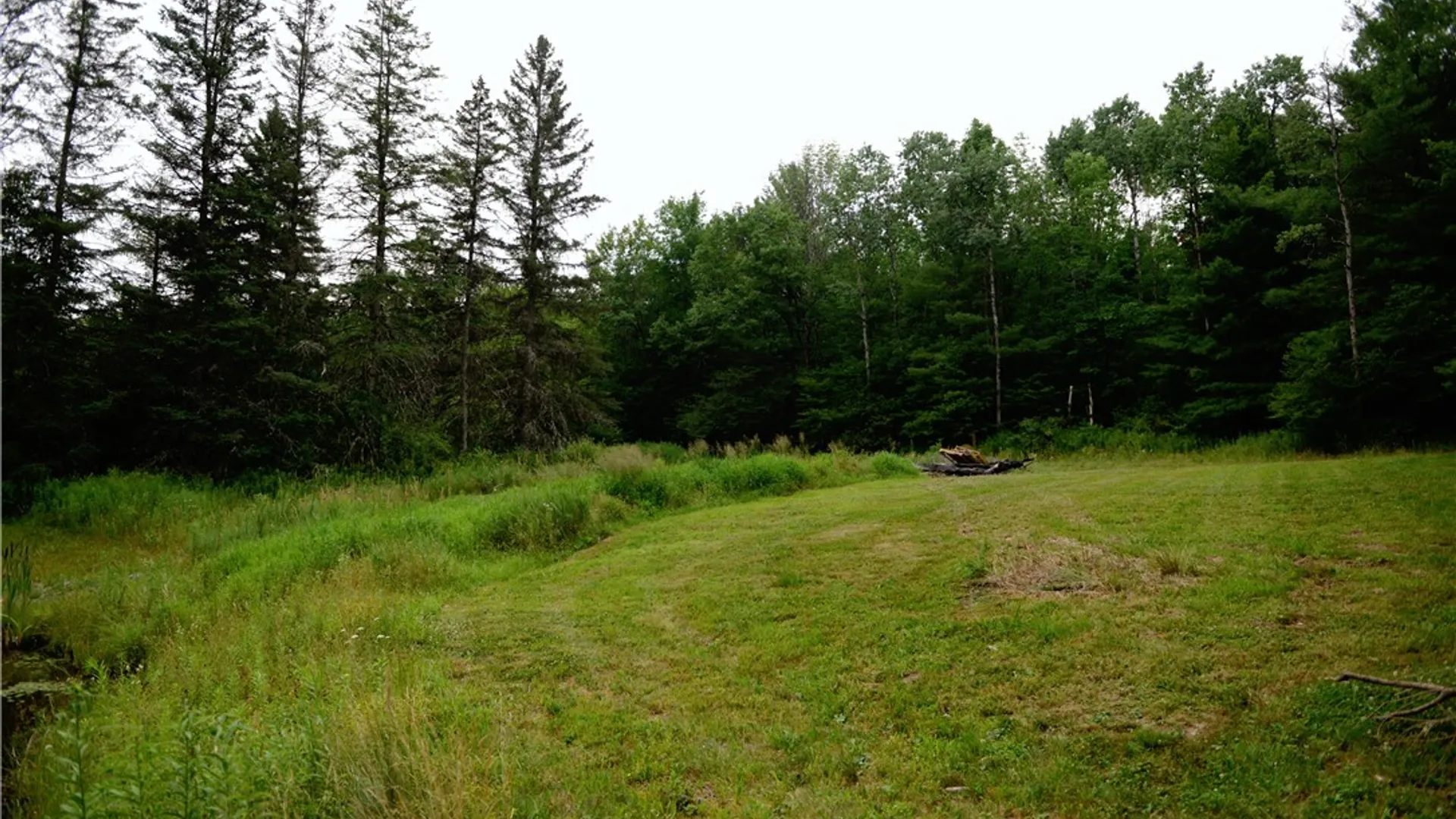 Property at 1113 Pazzelli Road, Sanford, NY 13865 14