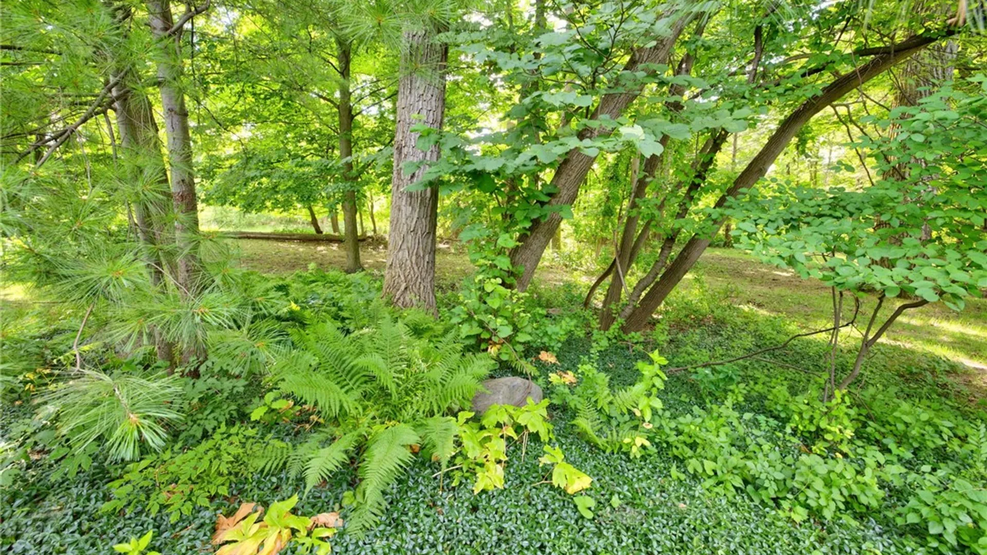 Property at 1140 Hillsboro Cove Circle, Webster, NY 14580 30