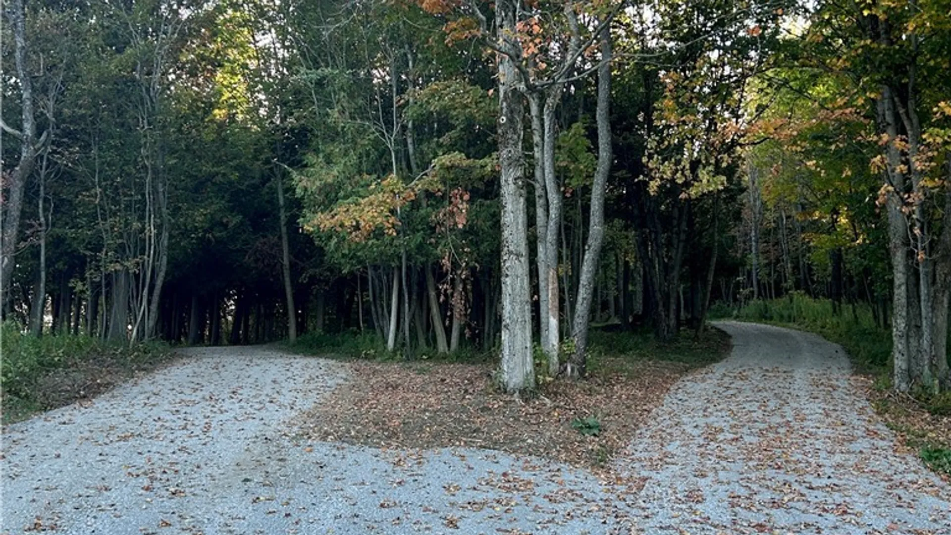 Property at 1803 County Route 194, Pinckney, NY 13626 42