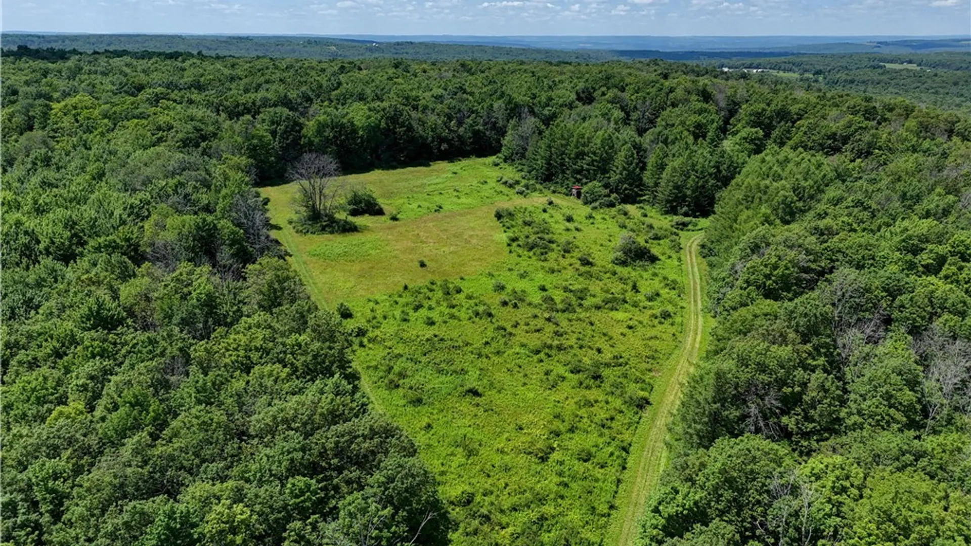 Property at 9085 Old State Road, Allen, NY 14709 10