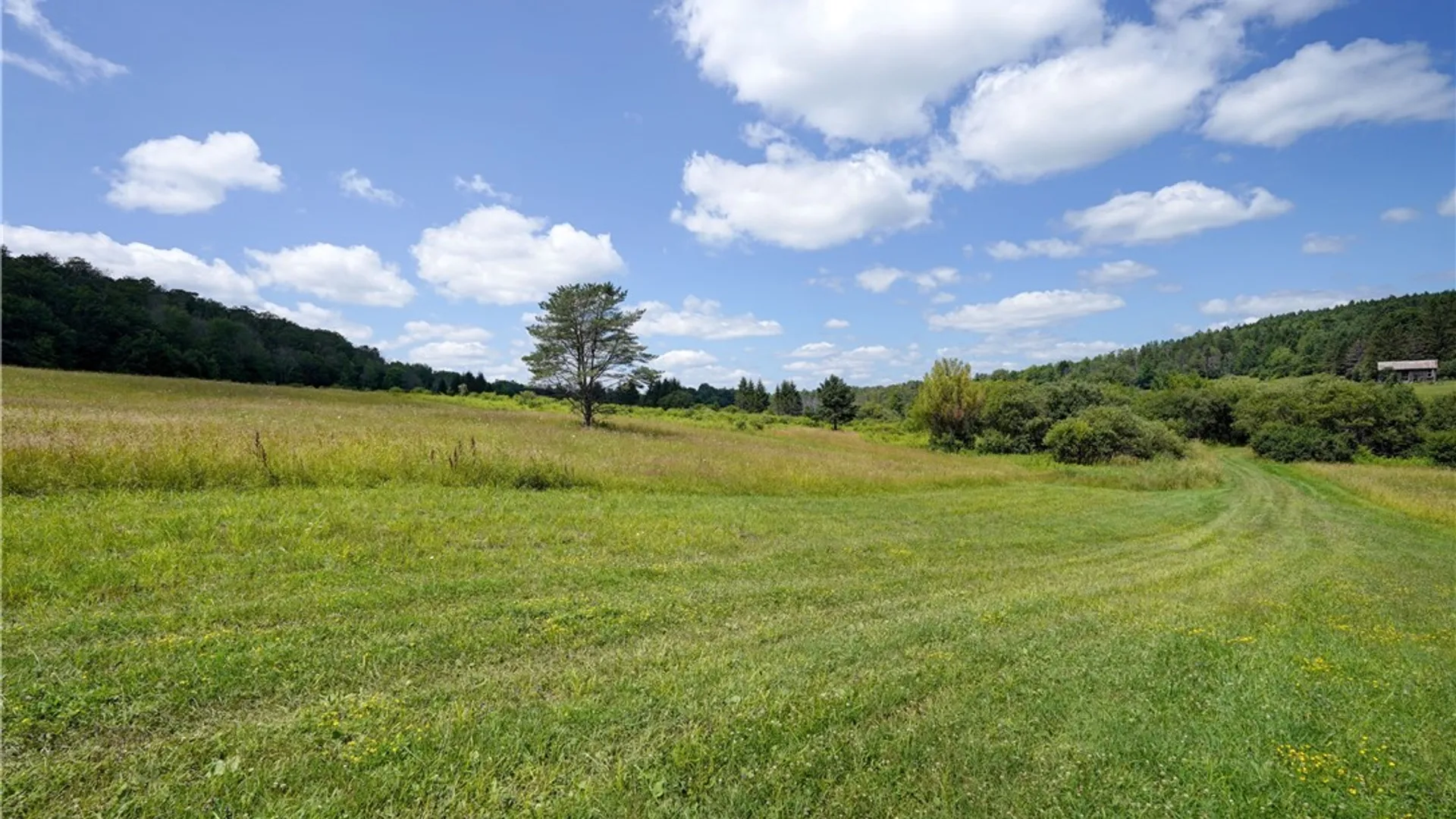 Property at 9085 Old State Road, Allen, NY 14709 4