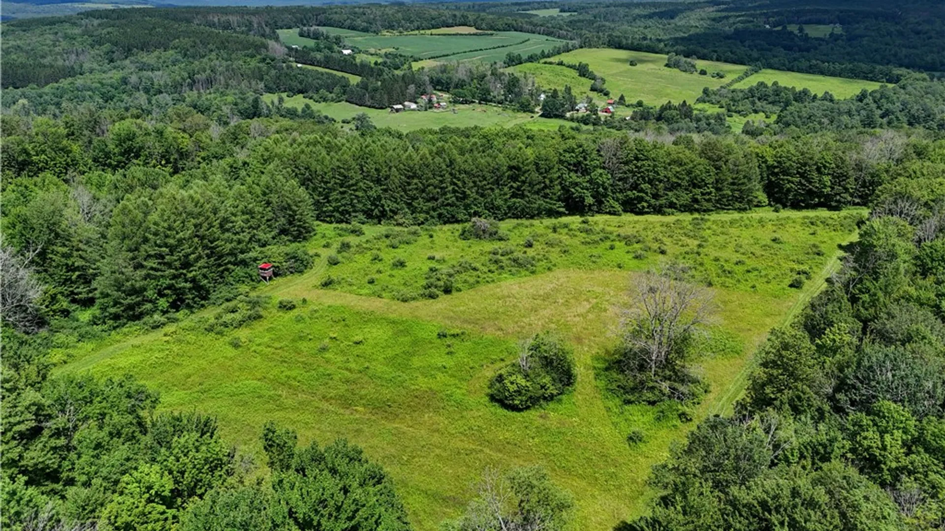 Property at 9085 Old State Road, Allen, NY 14709 8
