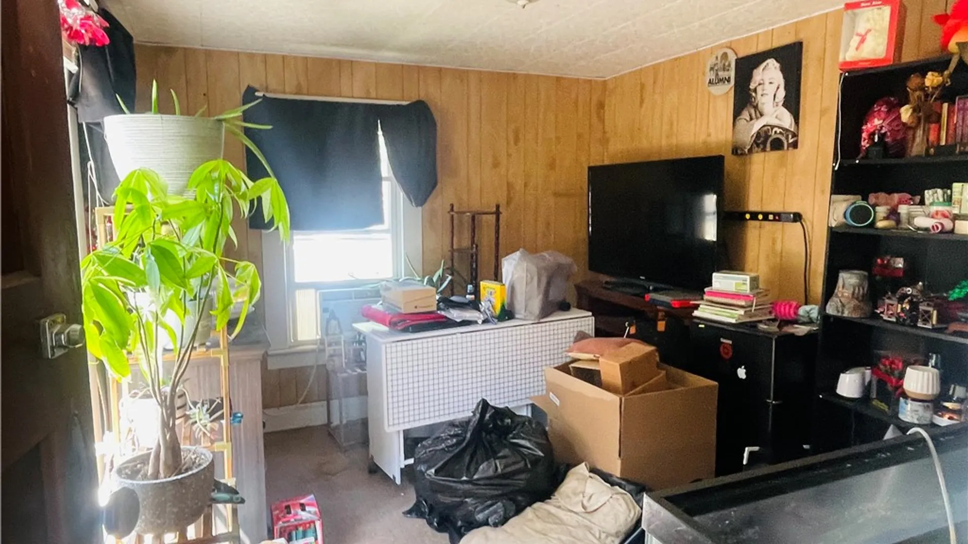 Property at 208 E William Street, Bath, NY 14810 11