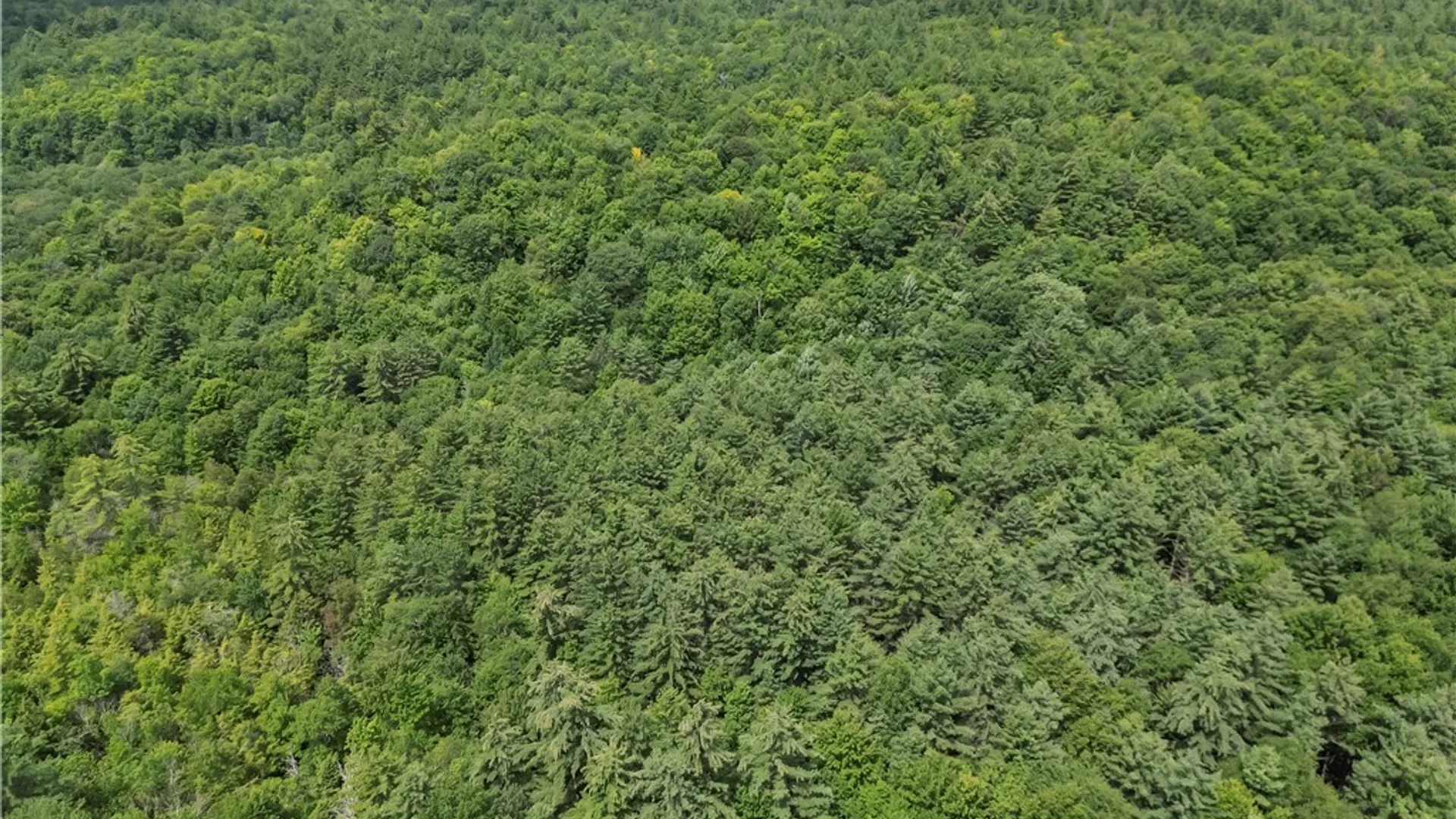 Property at Stone Road, Pitcairn, NY 13648 3