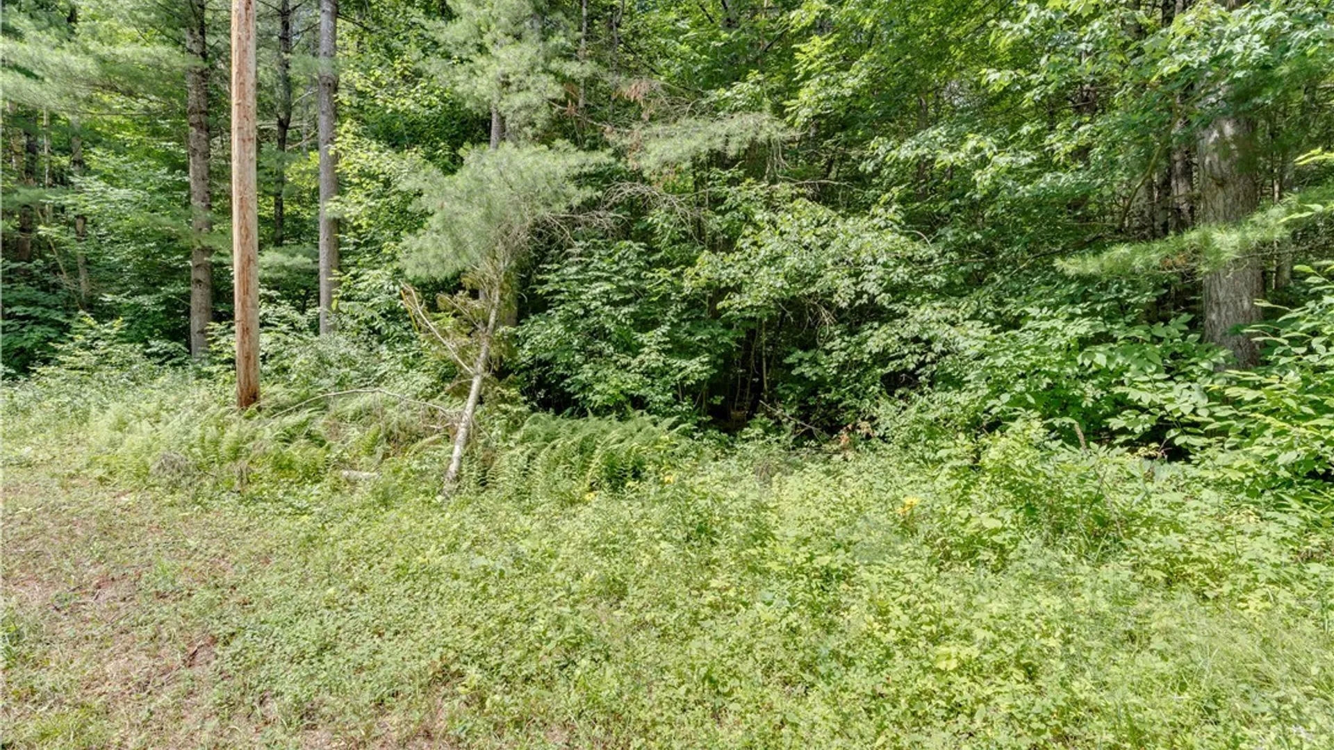 Property at Stone Road, Pitcairn, NY 13648 6