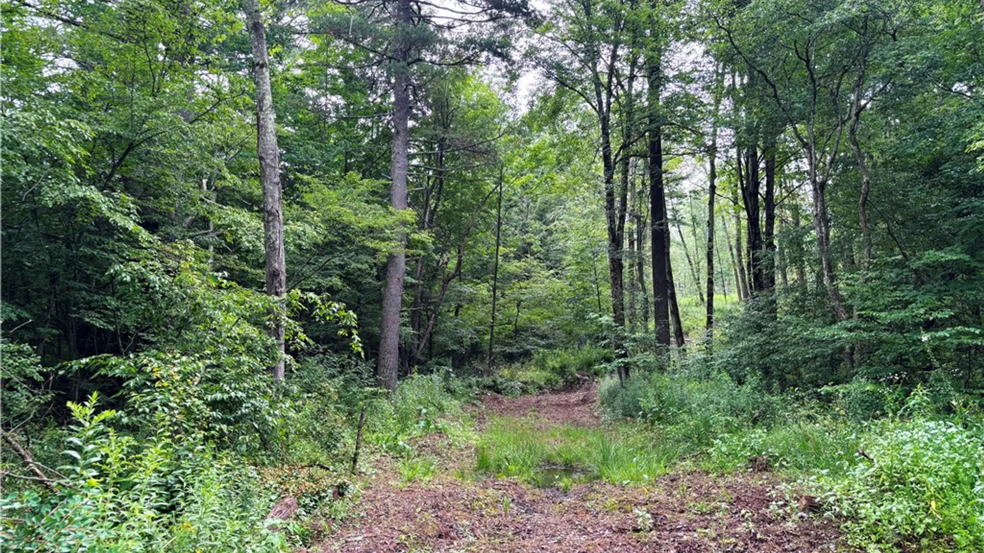 Property at Lot #44 Rt-23, Harpersfield, NY 13786 10