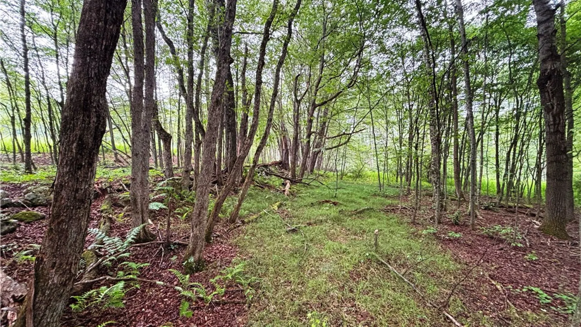 Property at Lot #44 Rt-23, Harpersfield, NY 13786 12