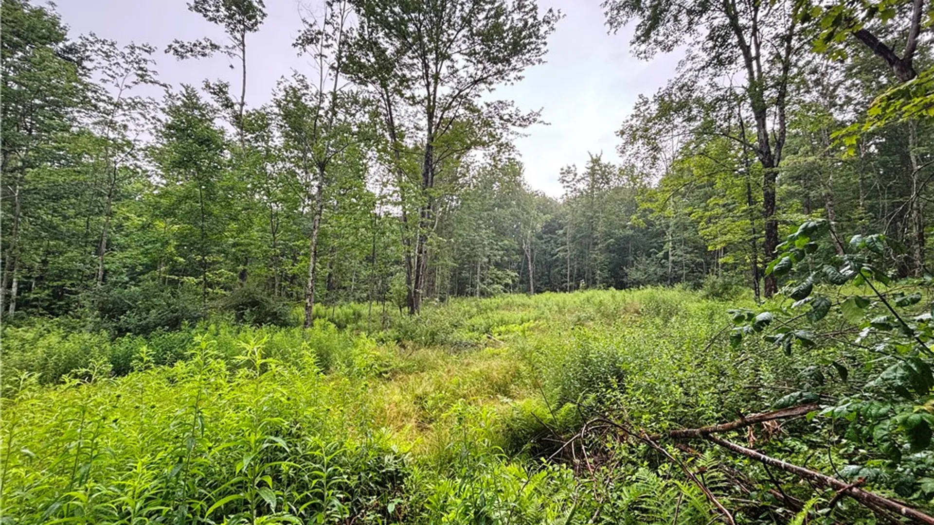 Property at Lot #44 Rt-23, Harpersfield, NY 13786 16