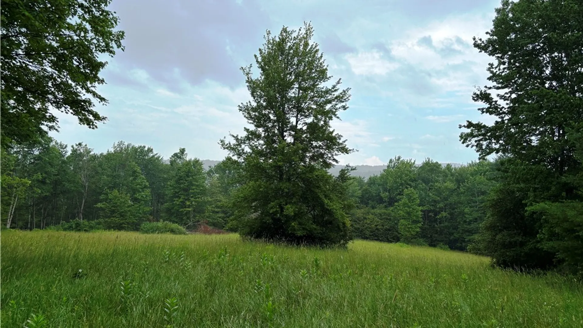 Property at Lot #44 Rt-23, Harpersfield, NY 13786 17