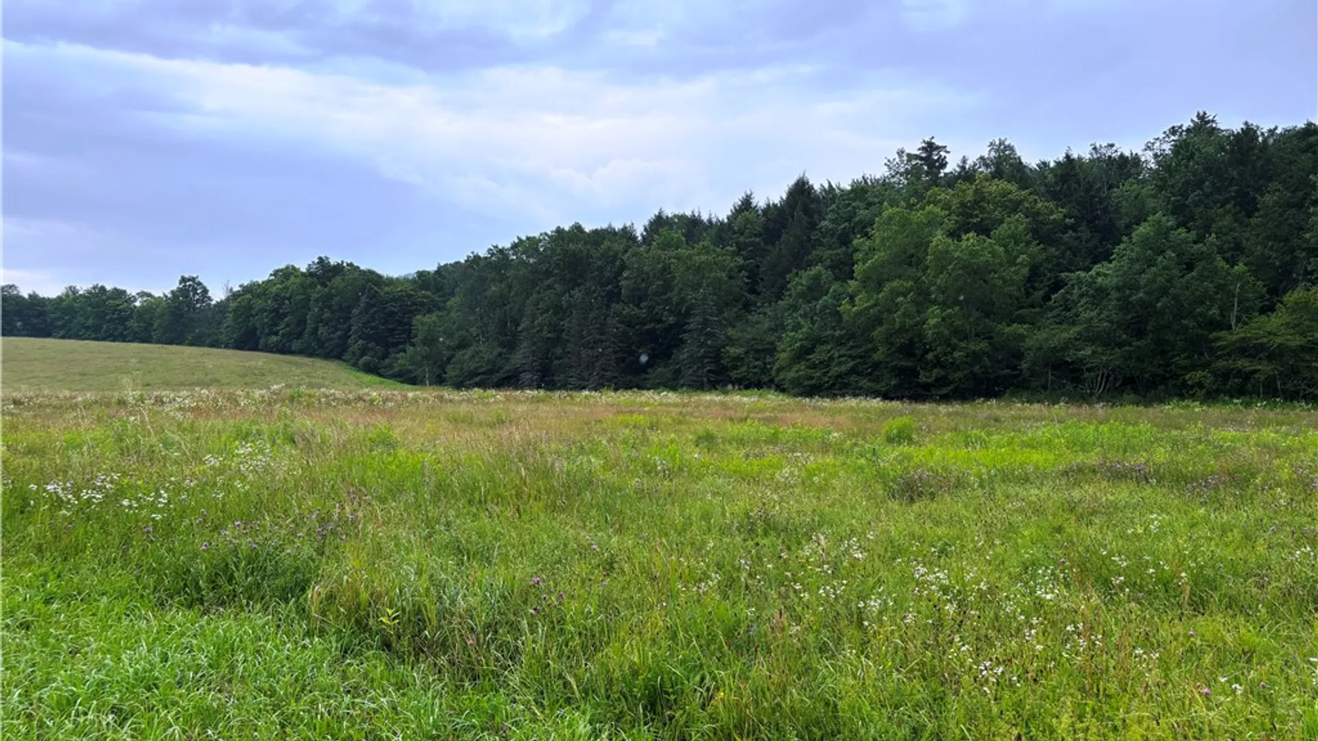 Property at Lot #44 Rt-23, Harpersfield, NY 13786 2