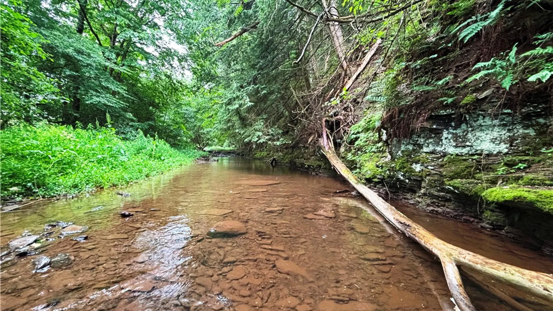Property at Lot #44 State Highway 23, Harpersfield, NY 13786 4