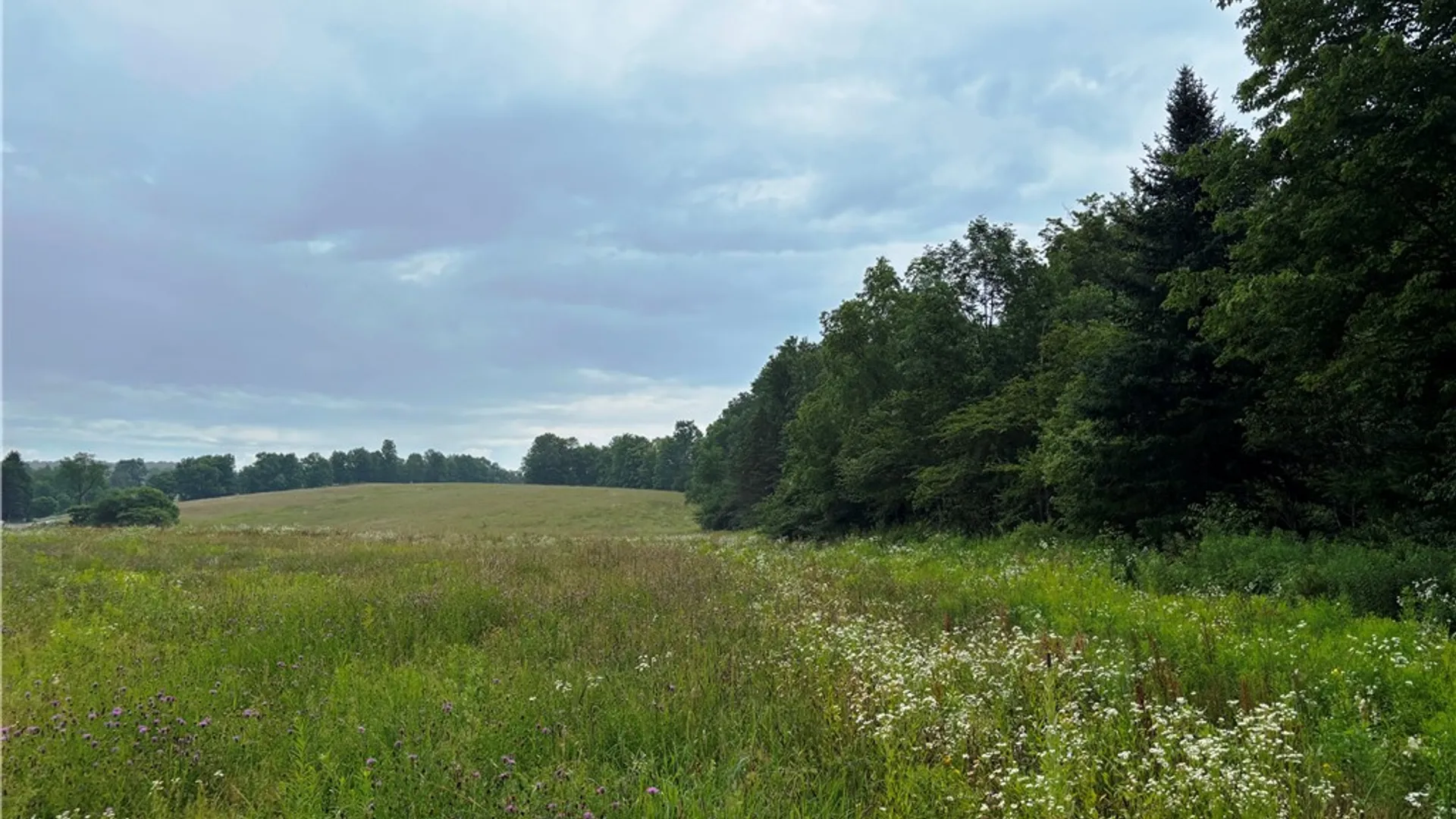 Property at Lot #44 State Highway 23, Harpersfield, NY 13786 6