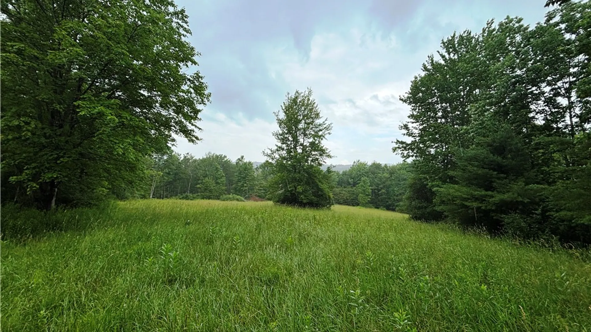 Property at Lot #44 State Highway 23, Harpersfield, NY 13786 18