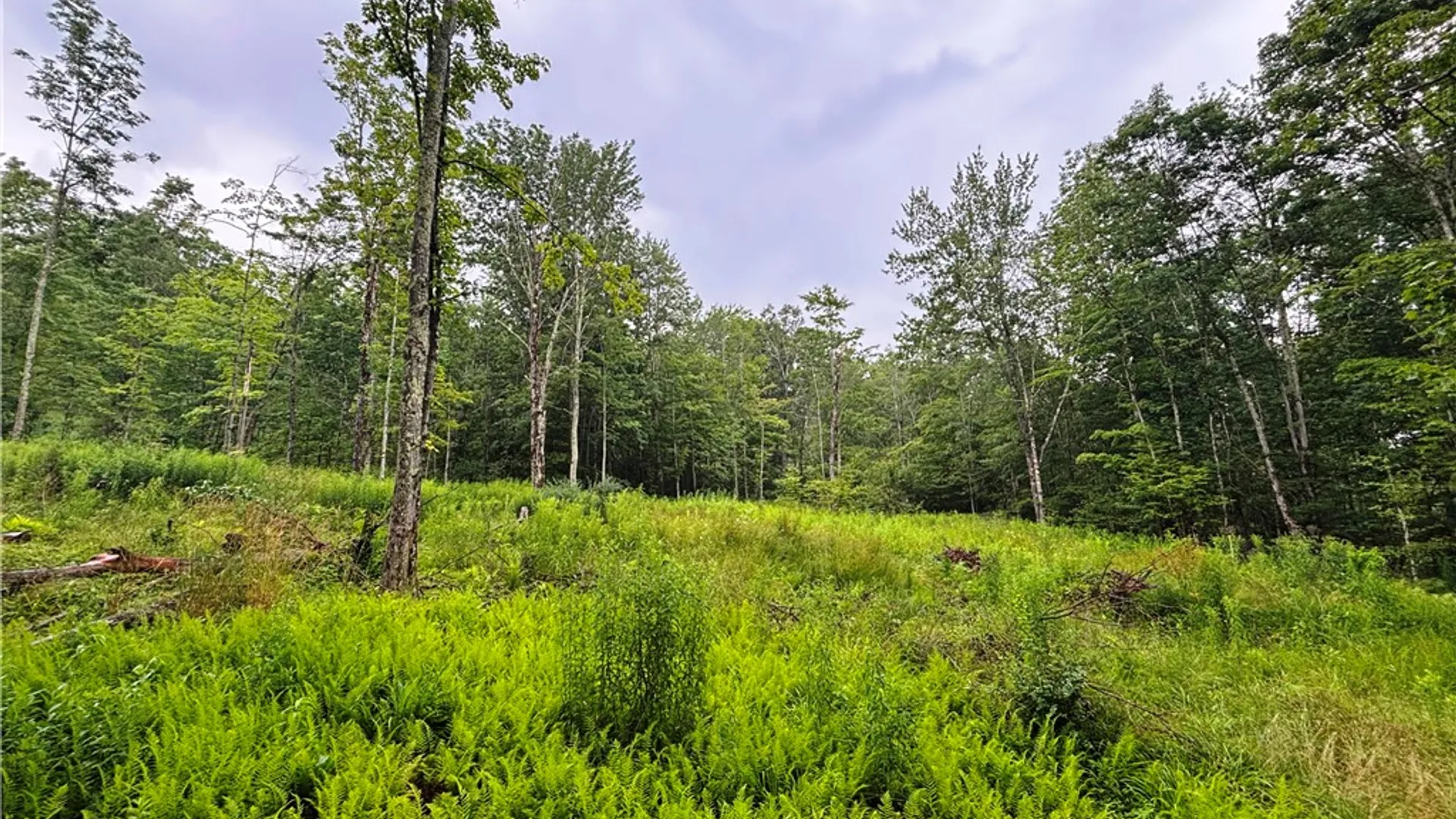 Property at Lot #44 State Highway 23, Harpersfield, NY 13786 23