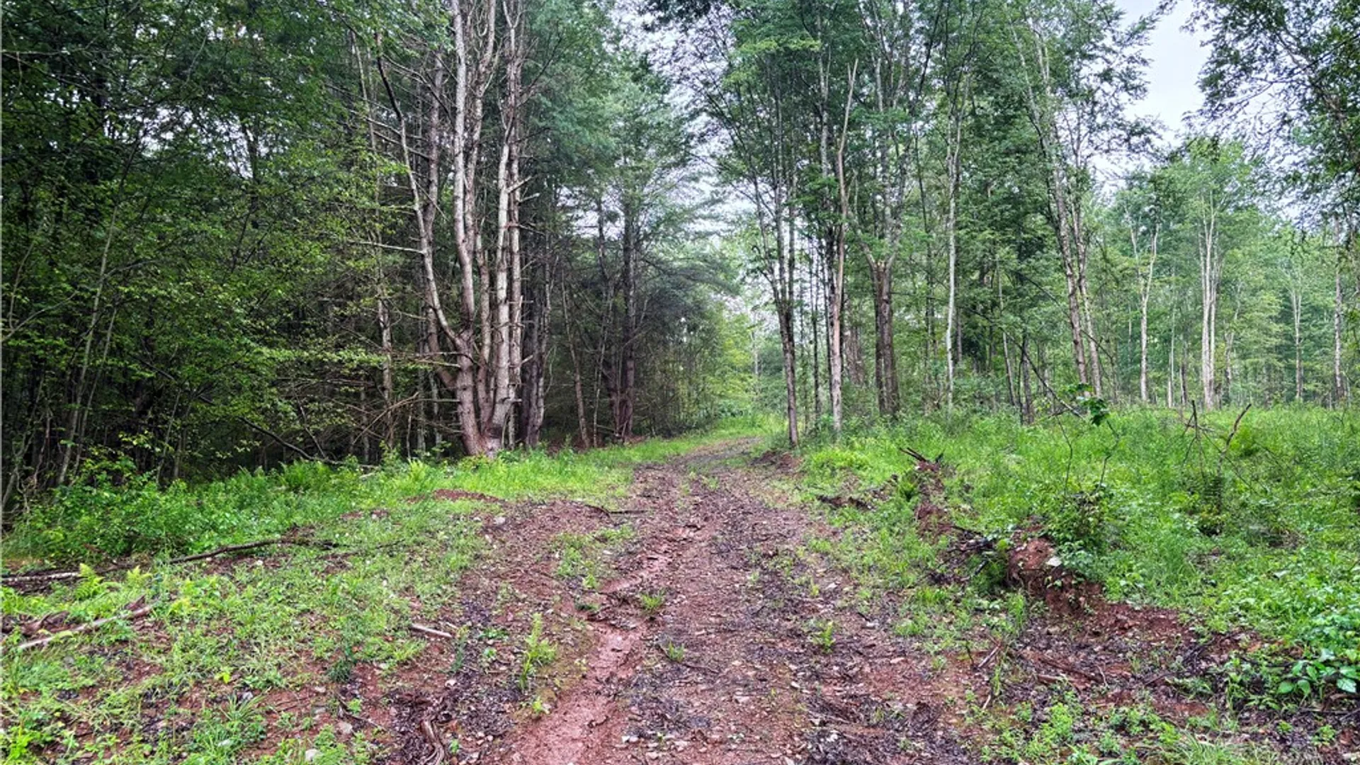 Property at Lot #44 State Highway 23, Harpersfield, NY 13786 24