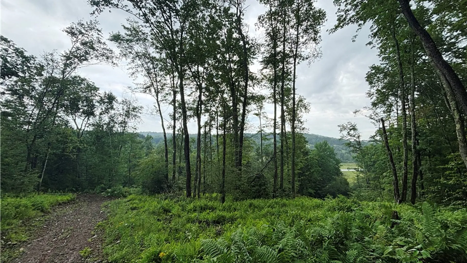 Property at Lot #44 Rt-23, Harpersfield, NY 13786 25