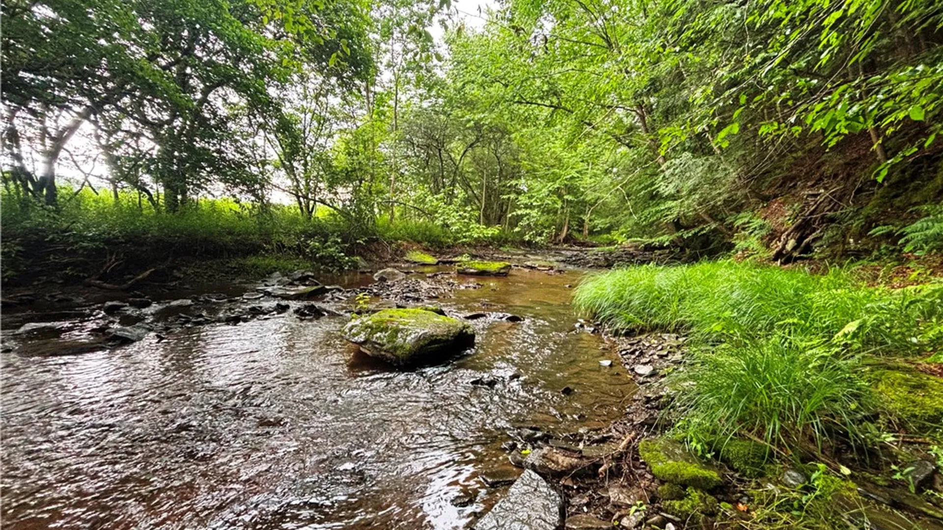 Property at Lot #44 Rt-23, Harpersfield, NY 13786 27